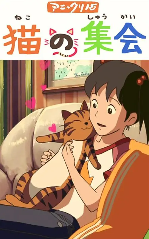 虚张声势2013